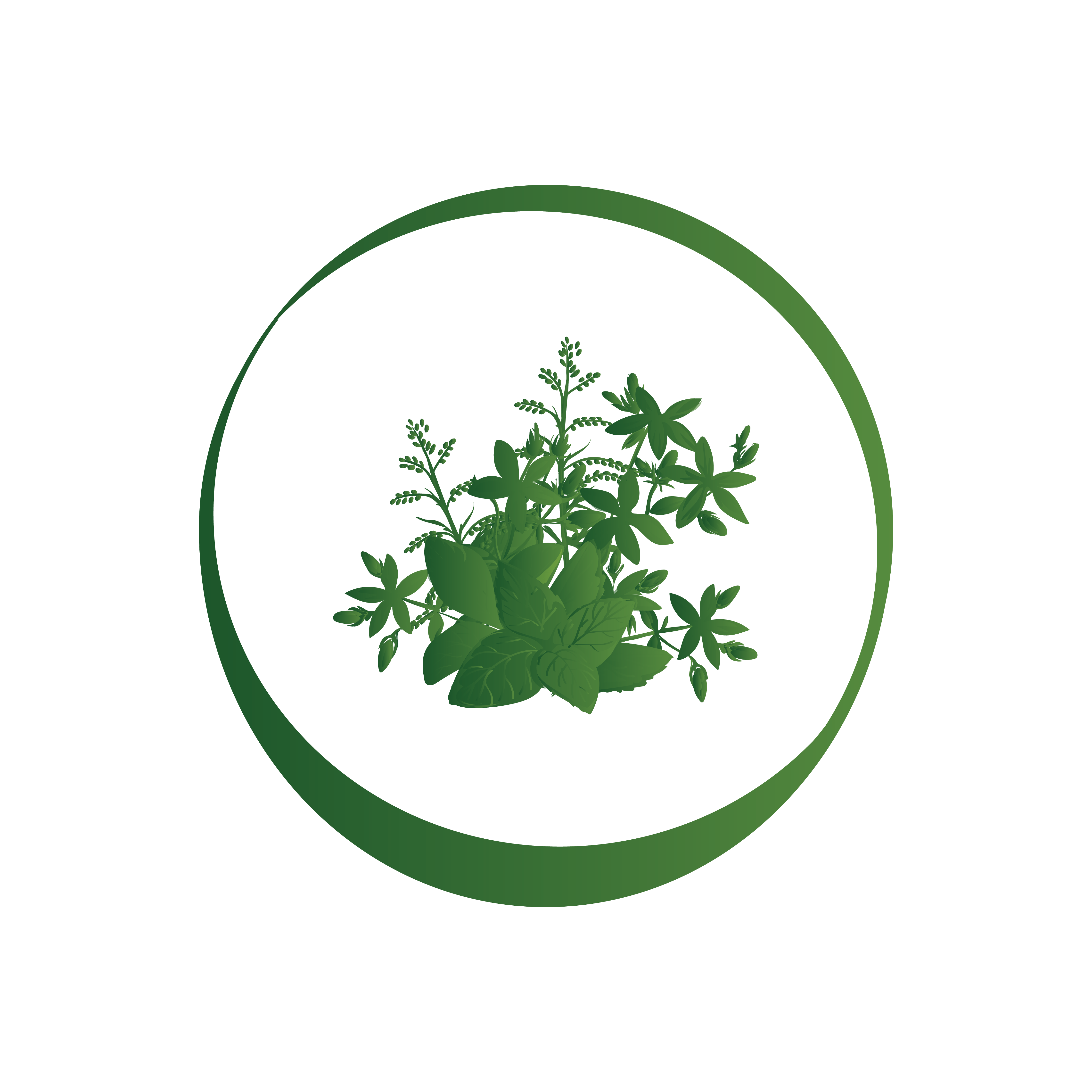 1__Leafy_Greens12.png
