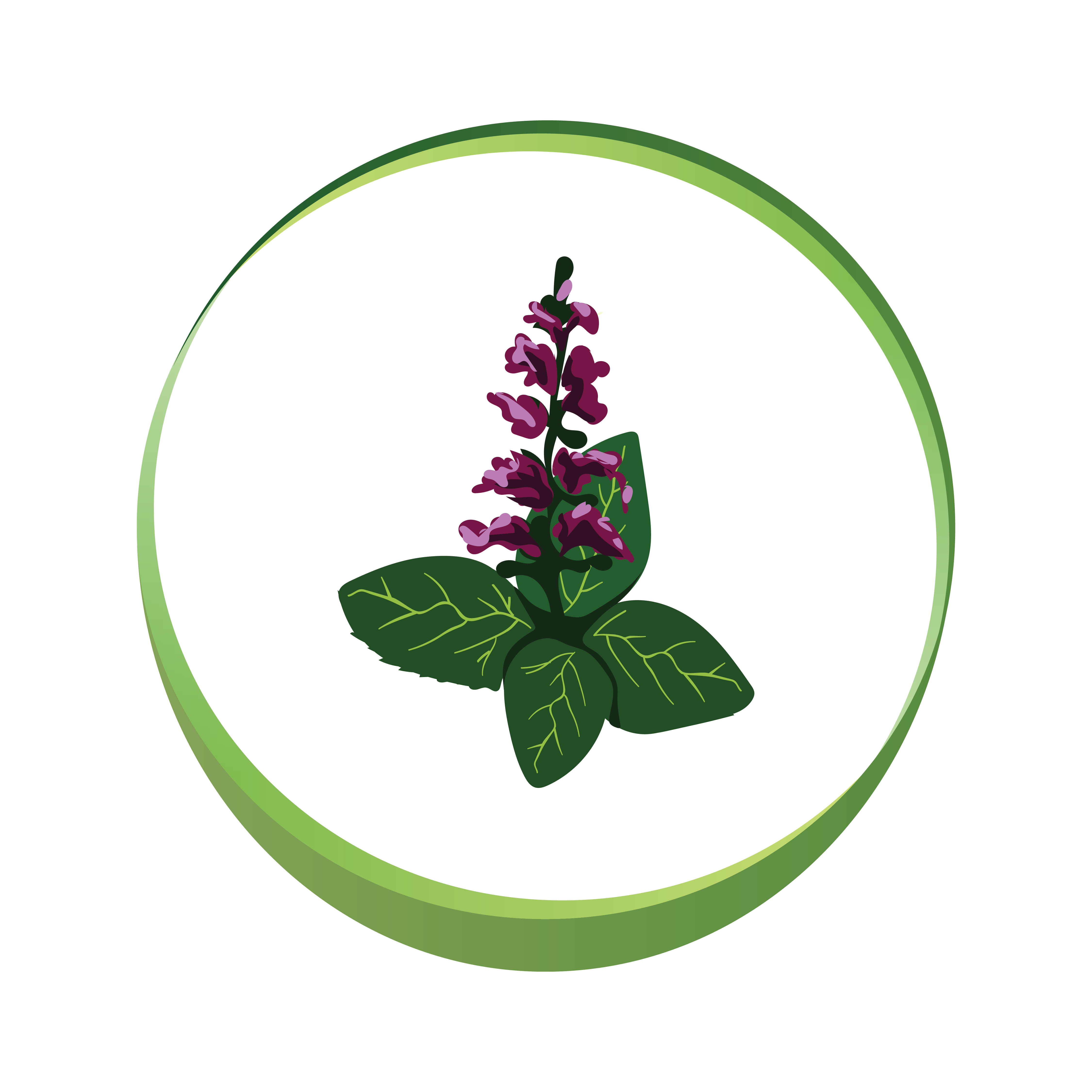 2__Herbs-colors1.png