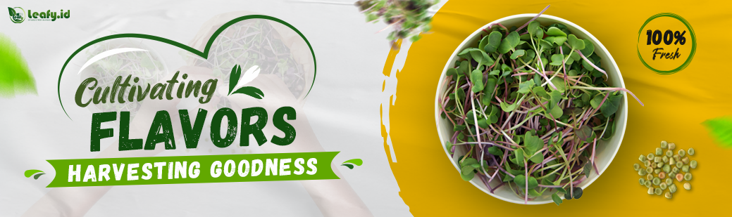 Banner_Web_Leafy-Utama_1039x3092.png